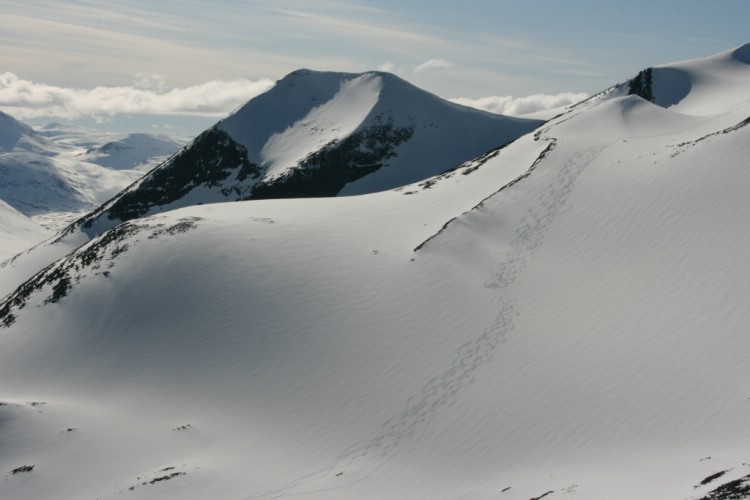 Our tracks at Knivkammen. Heliski Riksgränsen May 8, 2009. Photo: Andreas Bengtsson